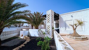 A courtyard with a palm tree, a small garden, and a white building with a window and a door.