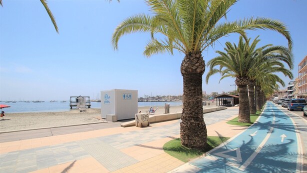 A beachside promenade with palm trees, a water taxi station, and a blue bike lane.