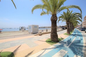 A beachside promenade with palm trees, a water taxi station, and a blue bike lane.