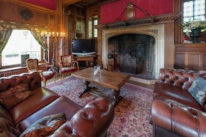 TV connectée, cheminée, lecteur de DVD, livres