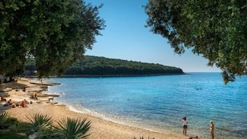 بالقرب من الشاطئ