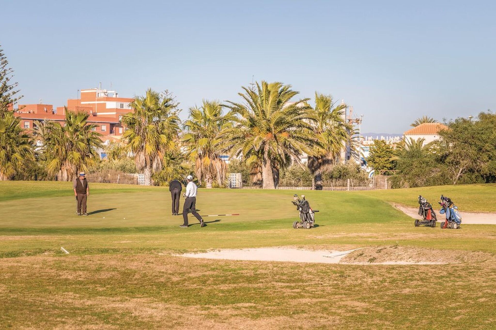 Um campo de golfe com palmeiras, uma área de areia e edifícios ao fundo.