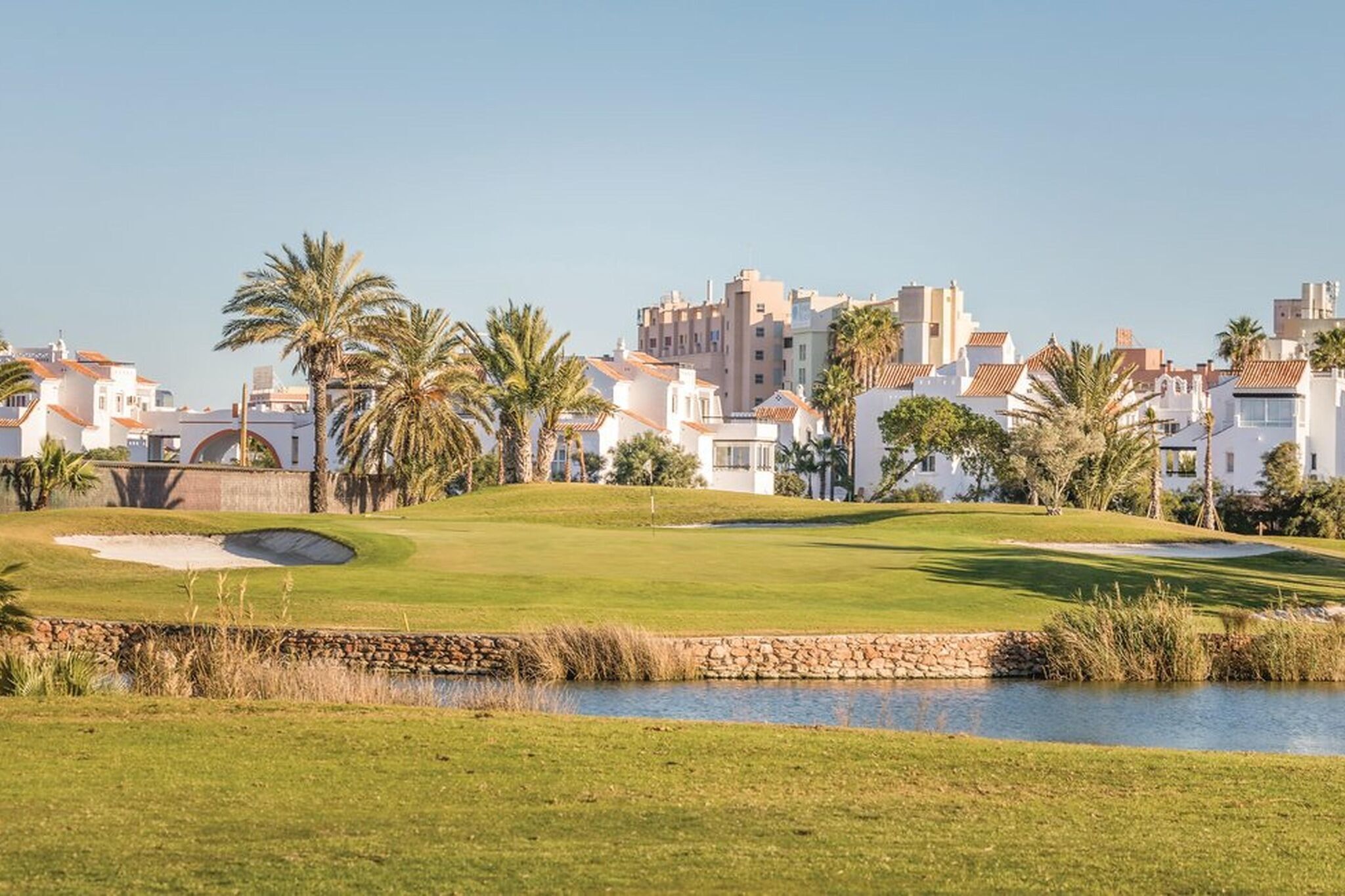 A golf course with a pond, palm trees, and white buildings in the background.