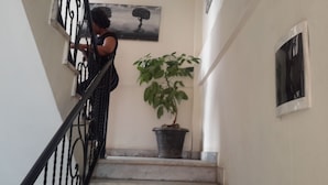 A staircase with a potted plant and a painting on the wall. - Mesfin Harar Hotel (Addis Ababa)