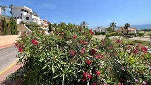 Zona residencial costeira com casas modernas, céu azul límpido e vegetação exuberante.