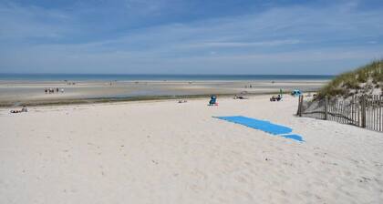 Newly Updated Home Stone Patio & Fire Pit!