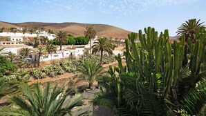 Paisatge desèrtic amb cactus i palmeres, edificis blancs i un turó al fons.