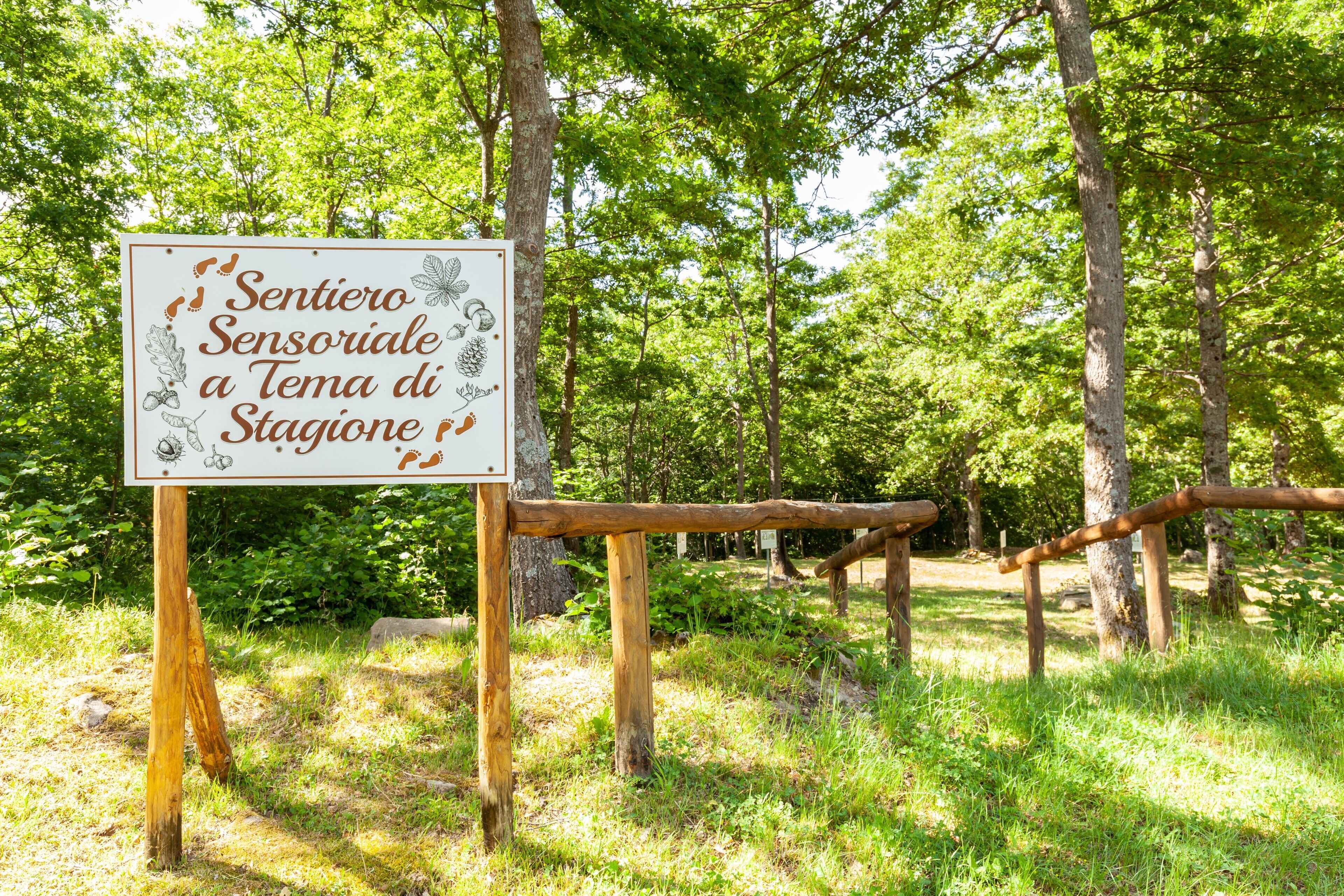 Un segnale in una zona boscosa con una recinzione in legno.