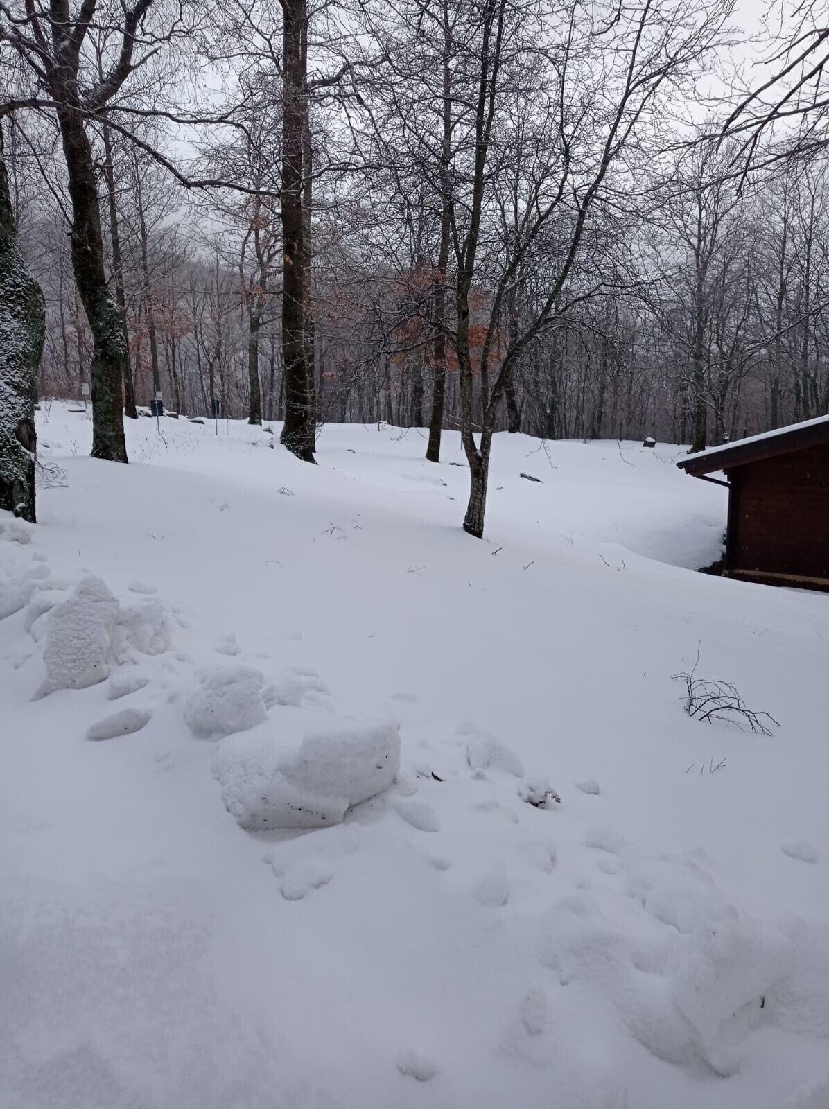 Parco della struttura