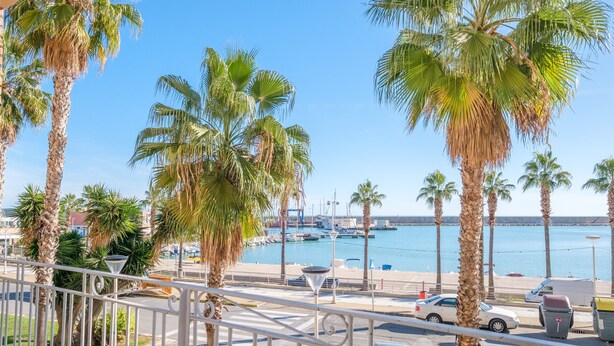 Vista costera con palmeras, un puerto deportivo y coches aparcados.