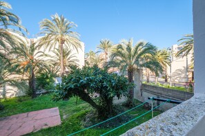 A courtyard with palm trees, a stone bench, and a view of buildings in the background.