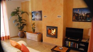 Una sala de estar con un sofá, una chimenea, un televisor y una estantería.