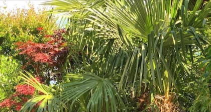 Holiday Home 'Splendido Cottage Lake View' with Terrace & Wi-Fi