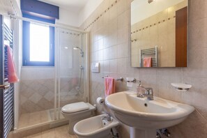 Shower, hair dryer, bidet, towels
