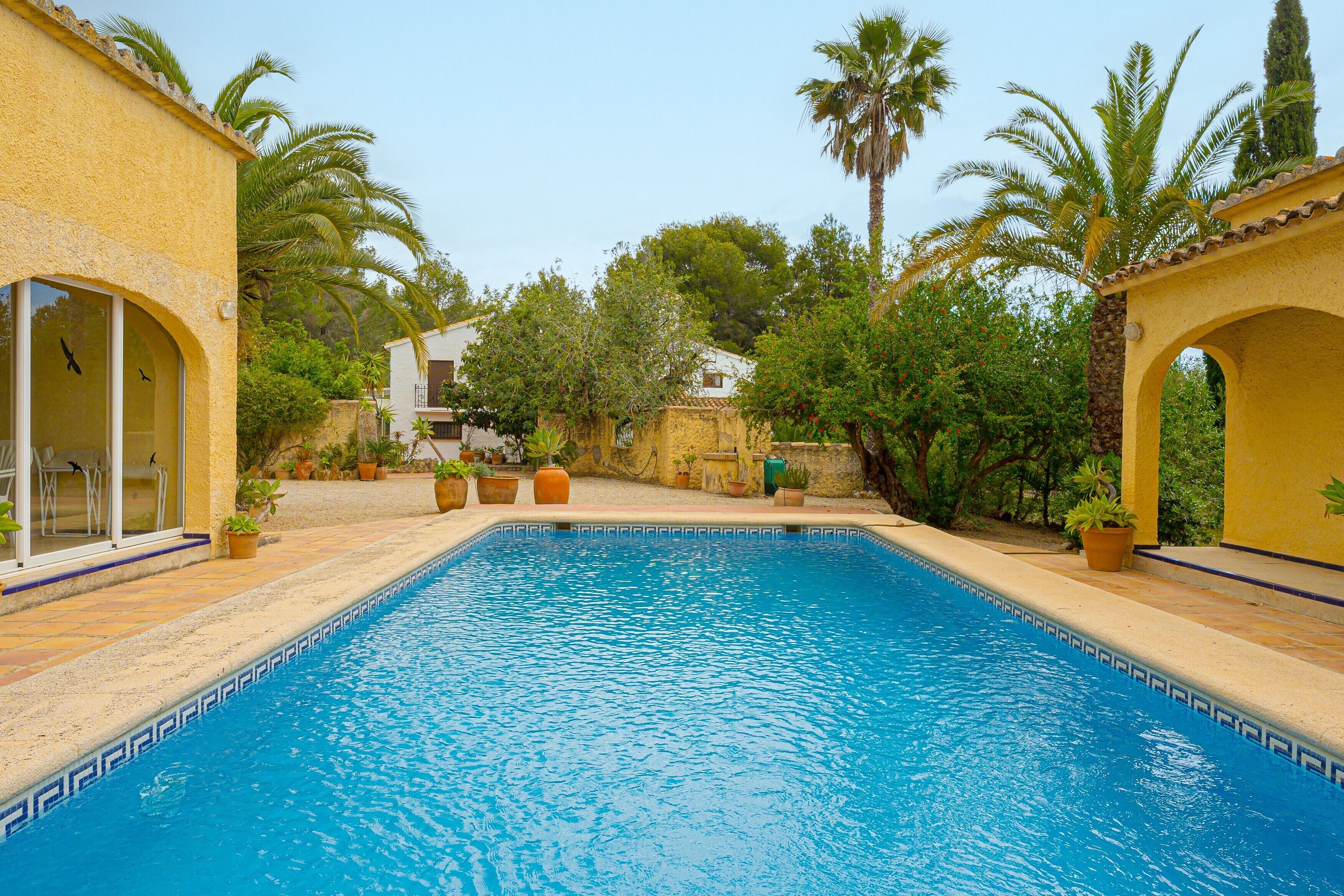 A swimming pool with a tiled border, surrounded by potted plants and palm trees.