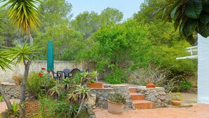 A garden with potted plants, a stone wall, and a white building. - Holiday Home 'Casa Babut' with Pool, Garden and Terrace (Pedreguer)