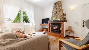 TV, fireplace