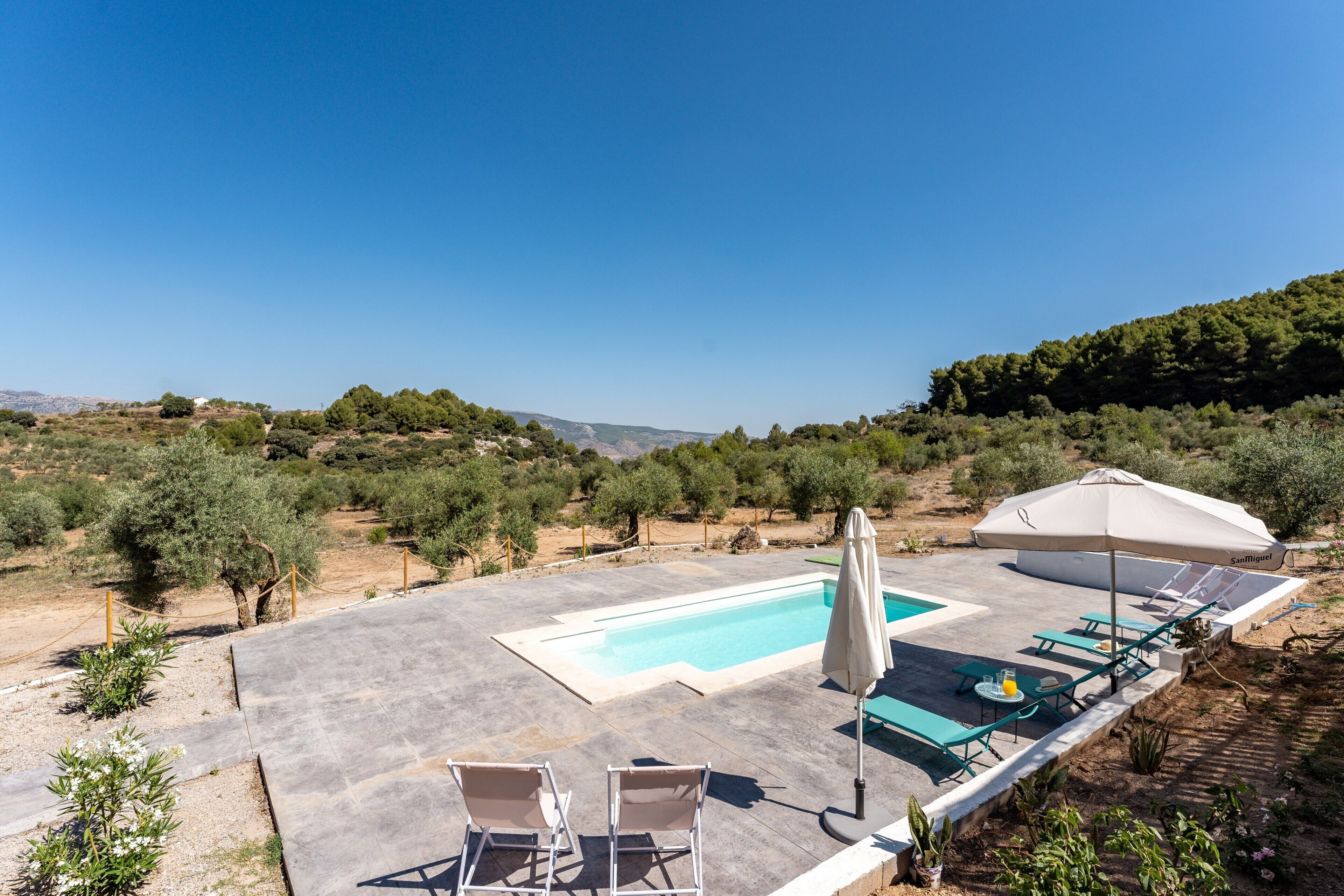A rooftop pool with lounge chairs and an umbrella, surrounded by olive trees and a hilly landscape.
