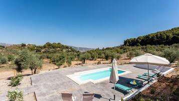 A rooftop pool with lounge chairs and an umbrella, surrounded by olive trees and a hilly landscape.