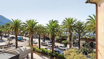 Vista desde la propiedad