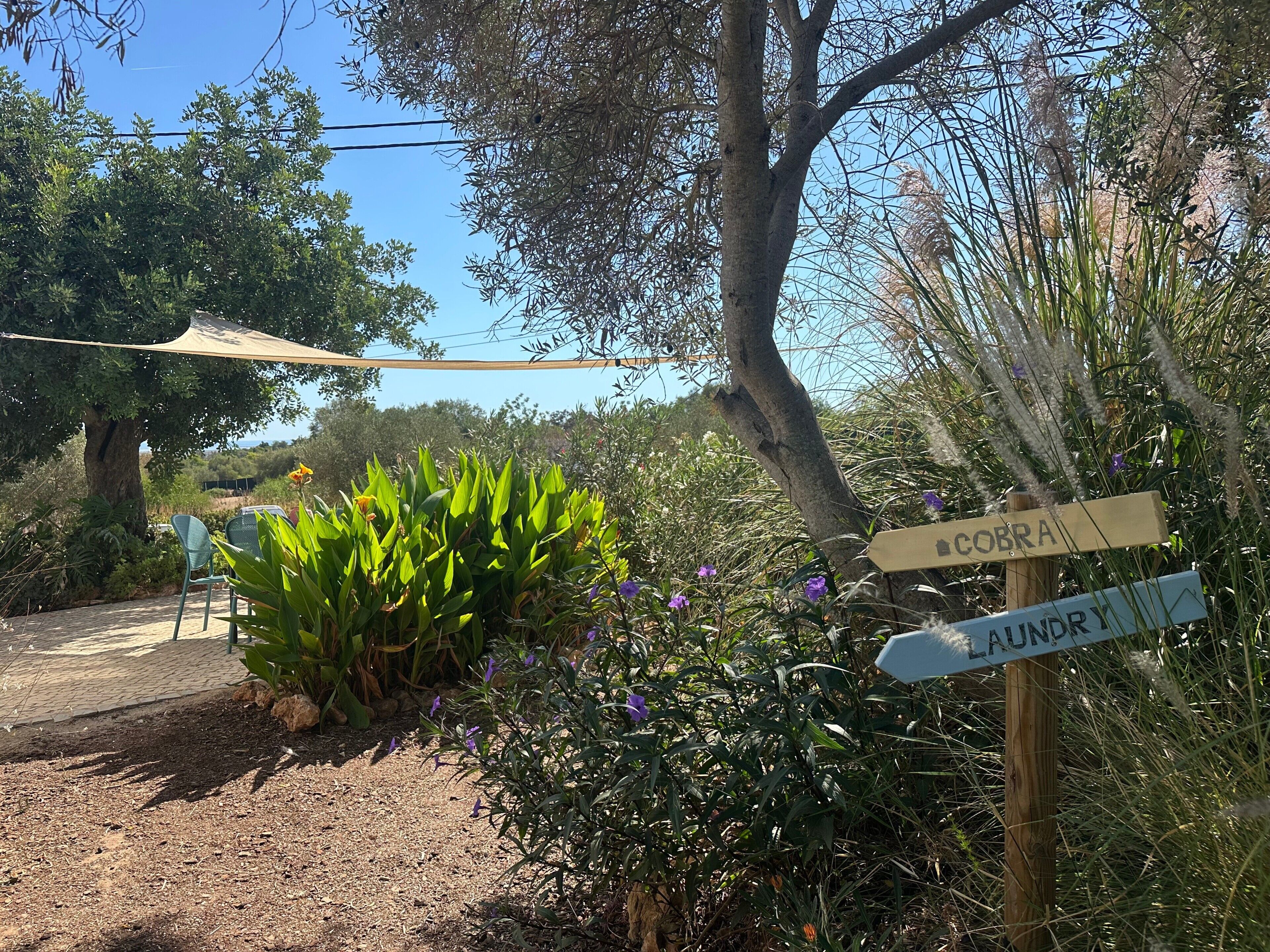 Áreas de la propiedad