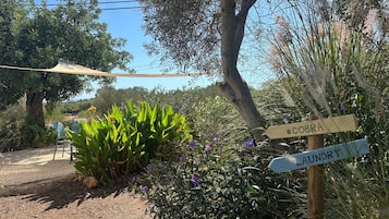 Áreas de la propiedad