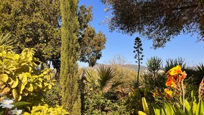 A garden with various plants and trees. - Holiday Home 'Casa Osga' with Mountain View, Shared Pool, Terrace & Wi-Fi (Moncarapacho)