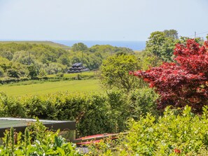 Interior - Ladylands Cottage (Newport)