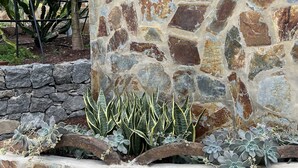 Un muro in pietra con ringhiera in legno e un giardino con piante grasse e un cactus.
