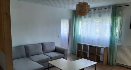 Chambre dans un appartement spacieux et rénové