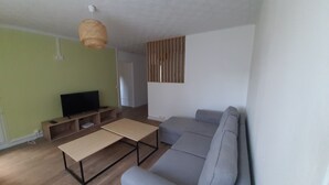 Un salon avec un canapé gris, une table basse en bois, un téléviseur posé sur un meuble en bois et un luminaire en fibres tressées.