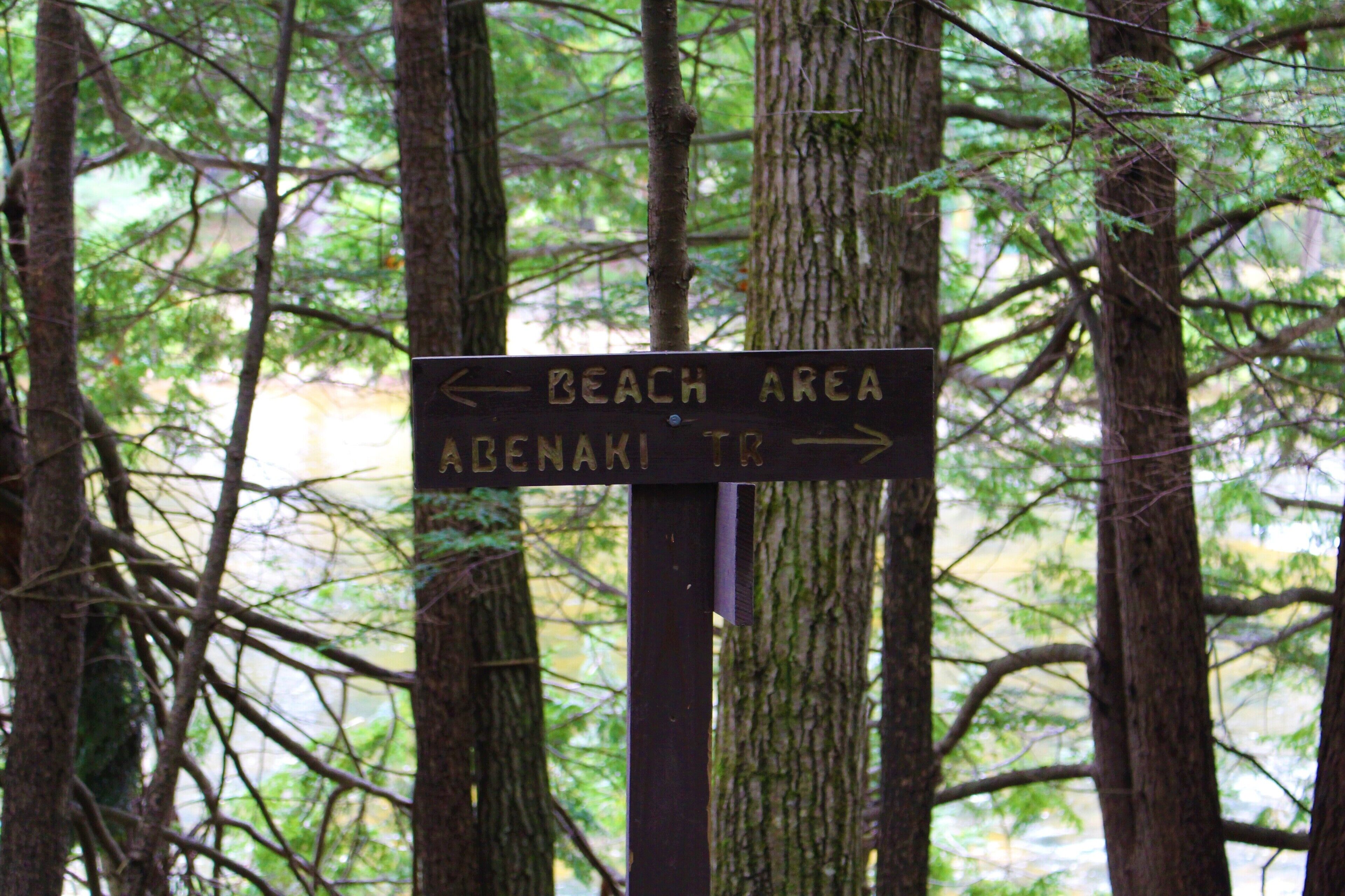 A directional sign in a forested area with a path leading to the beach and Abenaki Trail.
