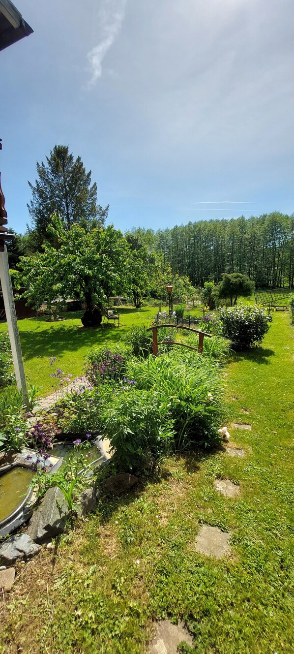 A well-maintained garden with a variety of plants and a small pond. - Great vacation rental for up to 4 people in the beautiful Odenwald (Mörlenbach)
