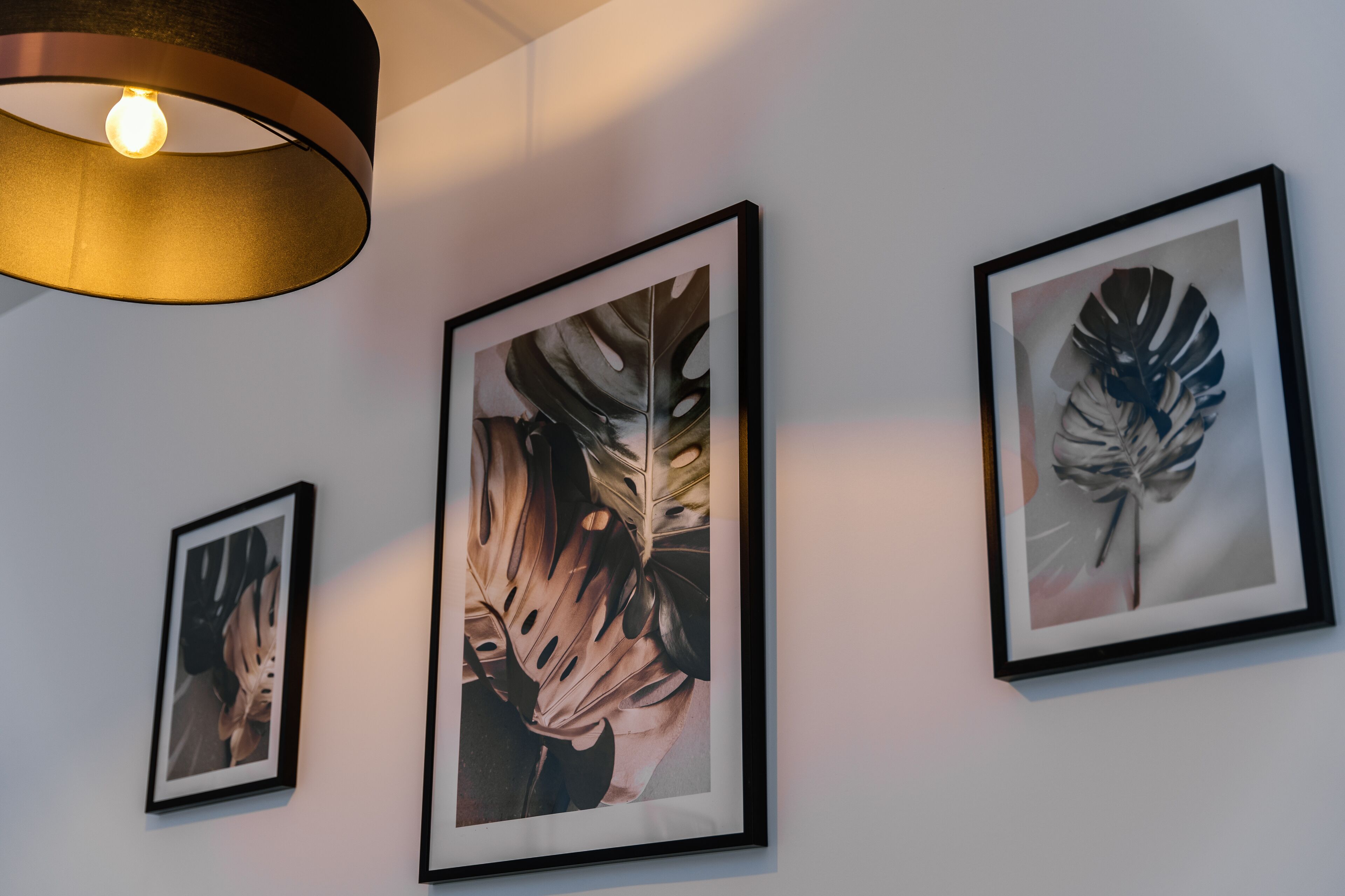 Drei gerahmte Pflanzenbilder an einer Wand, eine Pendelleuchte und ein Teilansicht der Decke.