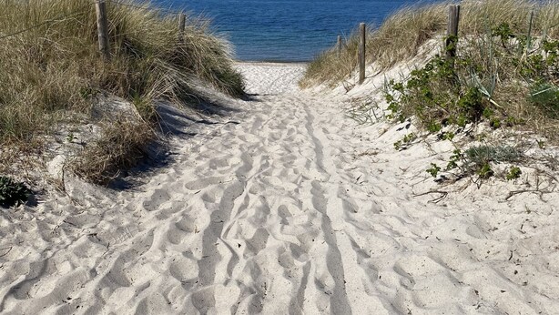 A sandy beach path leading to the ocean with a clear sky.