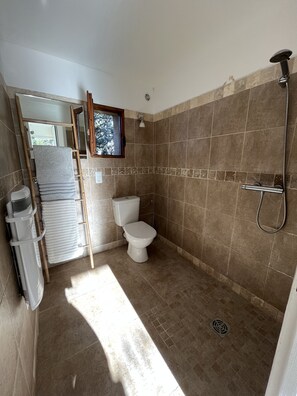 Shower, towels, toilet paper