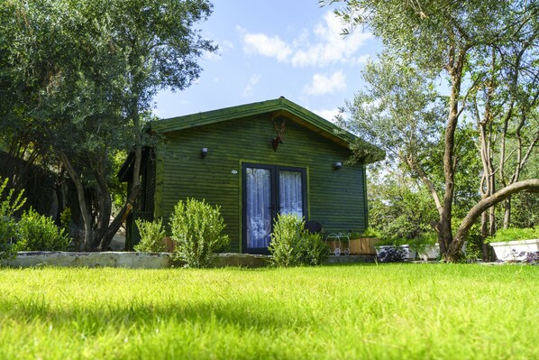 Situated in a lush environment, this cabin features a front door with a window above it and a small porch area.