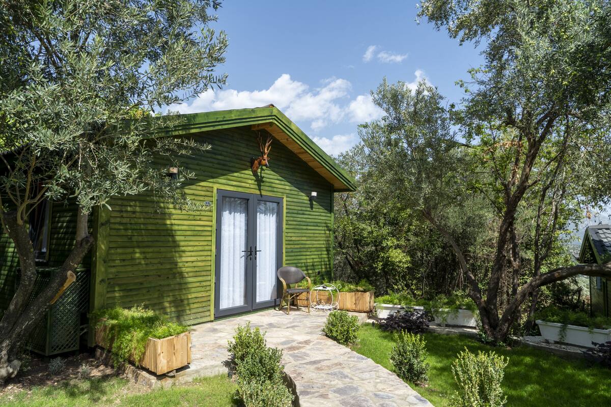 Een groene houten hut met een pad van stenen dat naar de ingang leidt, omringd door weelderige begroeiing en bomen.