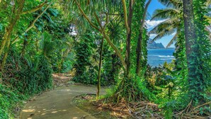 A narrow concrete path surrounded by dense tropical foliage, leading towards a coastal view. - Pali Ke Kua #222 - Breathtaking Ocean Views! (Princeville)