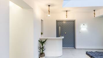 A modern reception area with a white reception desk, a potted plant, and a grey door.