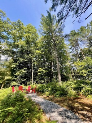 A forested area with a gravel path and red chairs.