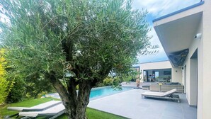 A modern outdoor area with a swimming pool, lounge chairs, and a large tree. - Villa Ciste - 12/15pers - Heated swimming pool - Panoramic mountain view - (Zonza)