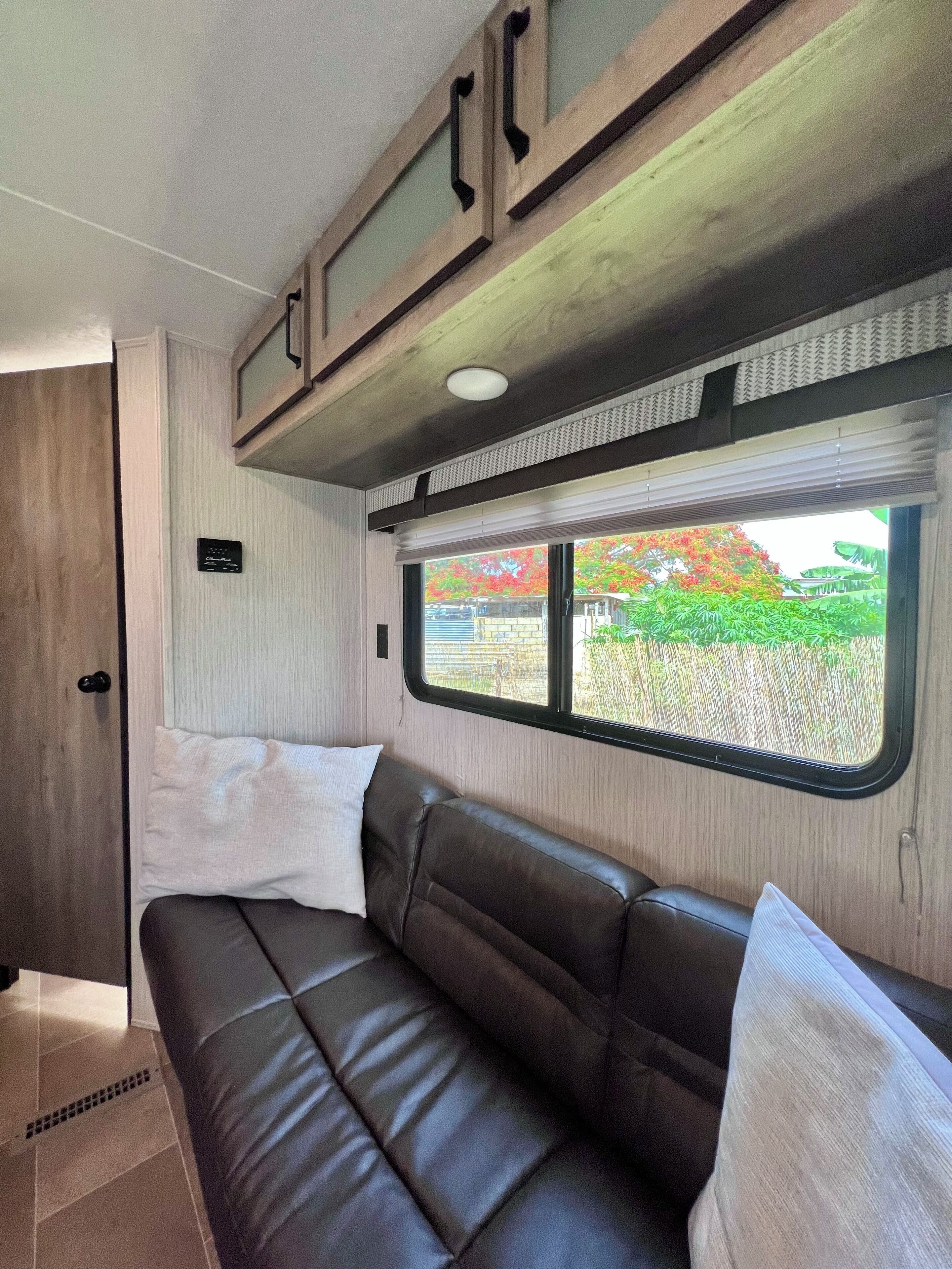 Televisión, reproductor de DVD, libros