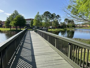 Lake