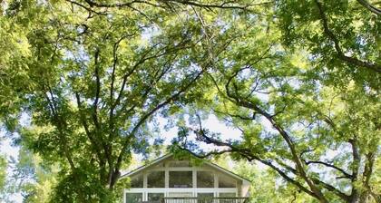 Pet Friendly Retreat on Lake Lbj!