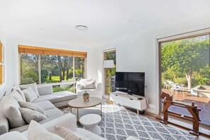 TV, fireplace, books
