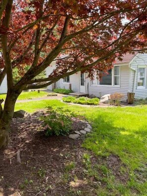 Property grounds - Quaint Cottage w/ Peloton & Sauna near Hiking (Mount Tremper)