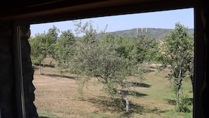 A view from inside a building, looking out to an orchard with trees and a hill in the distance. - Charming 2bed Cottage in Carasova, Banat Mountains (Carasova)