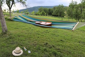 Exterior - Charming 2bed Cottage in Carasova, Banat Mountains (Carasova)