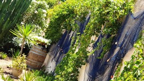 A garden with a variety of plants and a blue netting structure. - Il Canneto Vecchia Marina (castelvetrano)